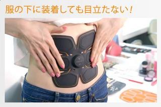 sixpad6.jpg